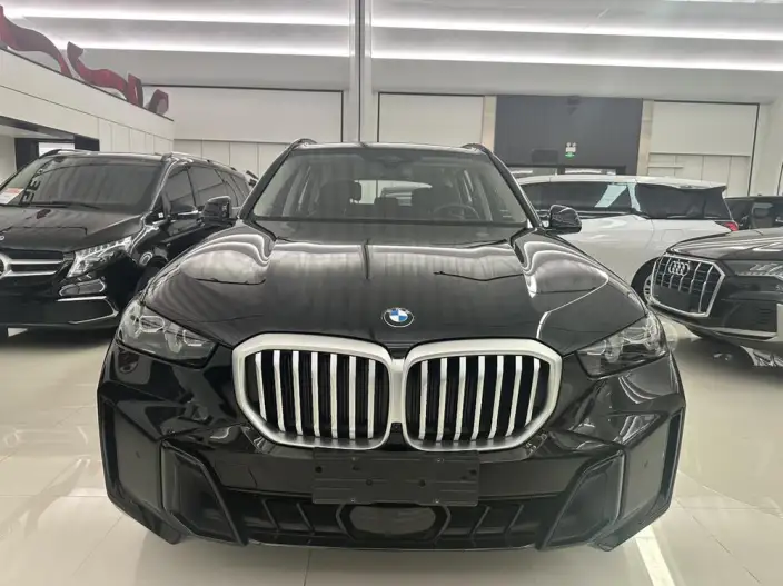 BMW X5 2025 Model xDrive30Li Exclusive Model M Sports Night Set – фото 2