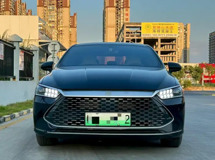 BYD Qin PLUS DM 2024 Model Honor Edition DM-i 55KM Leading Model – фото 2