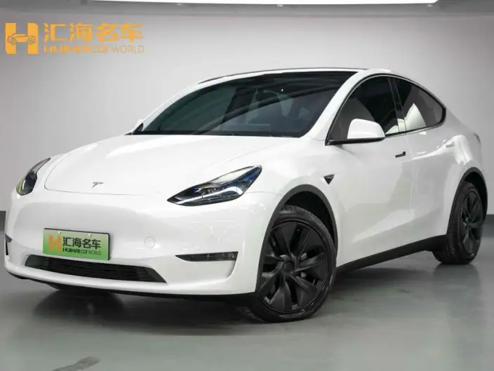 Model Y 2024 Model Rear-wheel drive version – фото 10