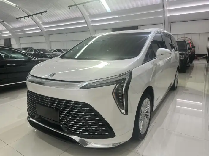 Century 2023 Model 2.0T VII seat Yunshi Edition – фото 1
