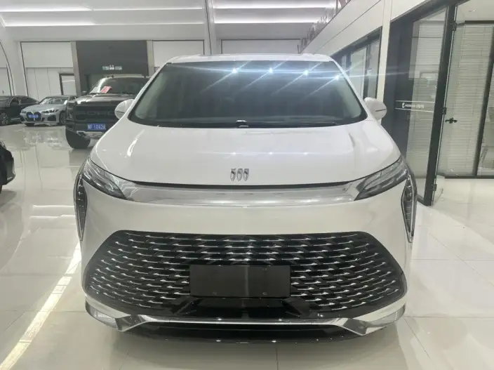 Century 2023 Model 2.0T VII seat Yunshi Edition – фото 2