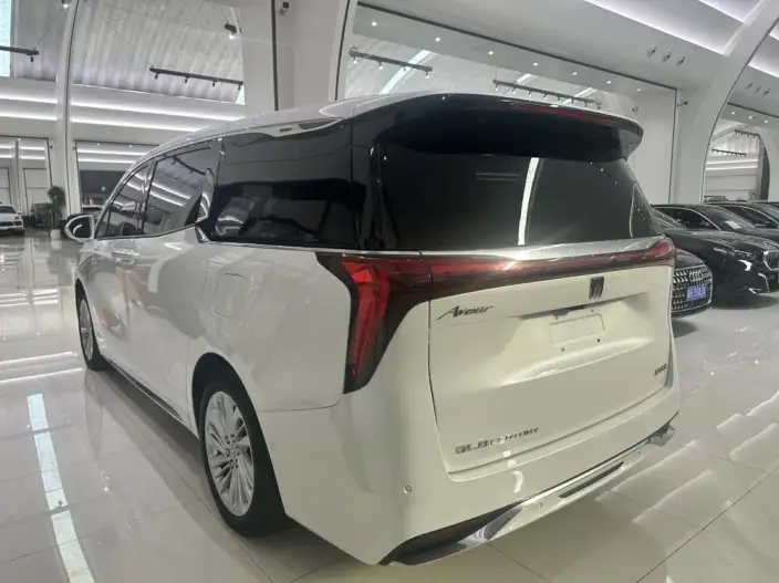 Century 2023 Model 2.0T VII seat Yunshi Edition – фото 3