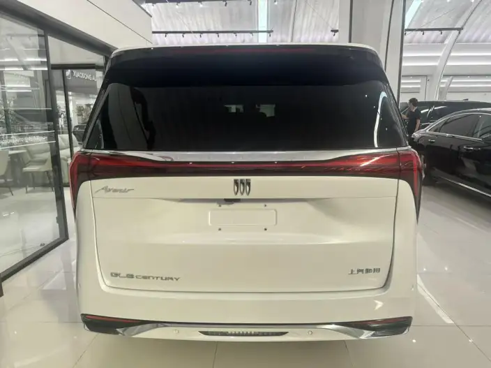 Century 2023 Model 2.0T VII seat Yunshi Edition – фото 4