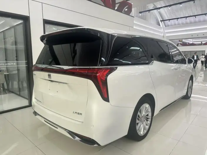 Century 2023 Model 2.0T VII seat Yunshi Edition – фото 5