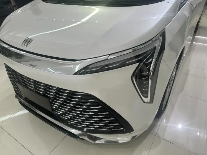 Century 2023 Model 2.0T VII seat Yunshi Edition – фото 6
