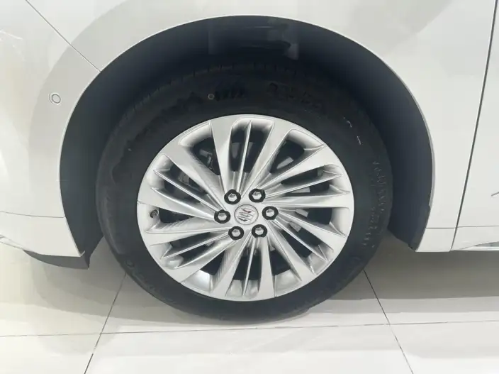 Century 2023 Model 2.0T VII seat Yunshi Edition – фото 7