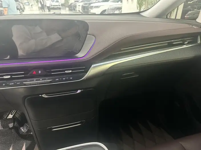 Century 2023 Model 2.0T VII seat Yunshi Edition – фото 9