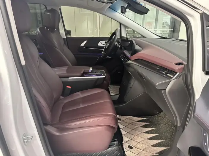 Century 2023 Model 2.0T VII seat Yunshi Edition – фото 10