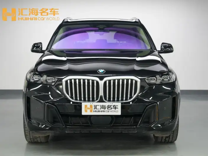 BMW X5 2025 Model xDrive30Li Exclusive Model M Sports Night Set – фото 2
