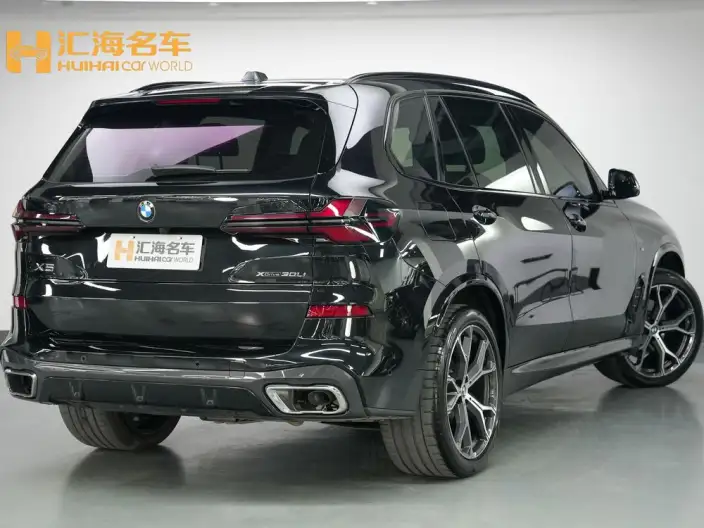 BMW X5 2025 Model xDrive30Li Exclusive Model M Sports Night Set – фото 6