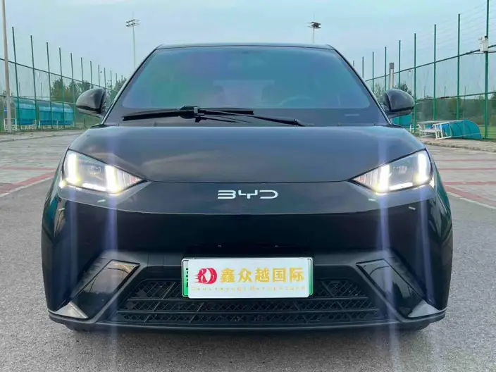 BYD Seagull 2024 Model Honor Edition 405KM Feixiang Edition – фото 2