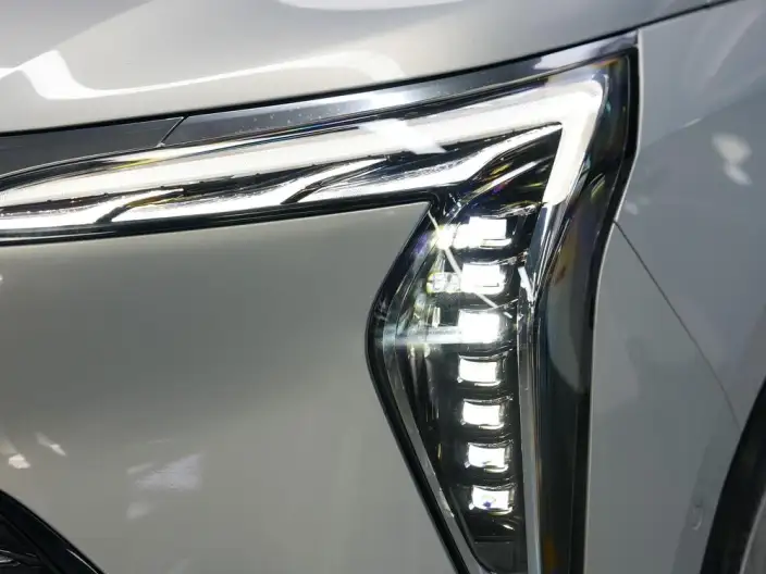 Century 2025 Model 2.0T VII seat Yunshi Edition – фото 7