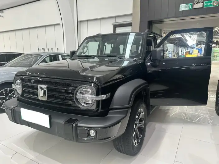Tank 300 Hi4-T 2025 Model 2.0T Standard Model 37.1kW·h – фото 7