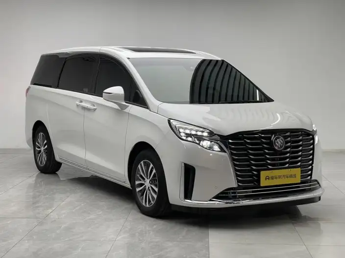 Buick GL8 2023 Model ES Luzun 2.0T Exclusive Model – фото 3