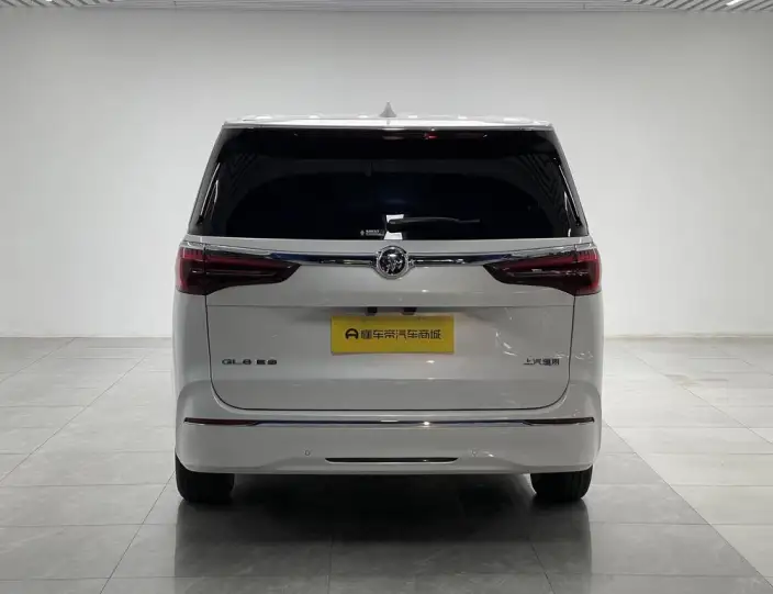 Buick GL8 2023 Model ES Luzun 2.0T Exclusive Model – фото 6