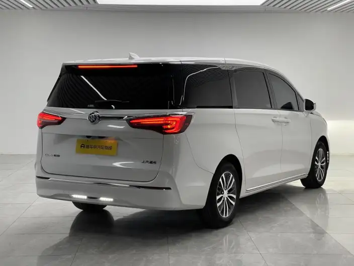 Buick GL8 2023 Model ES Luzun 2.0T Exclusive Model – фото 7