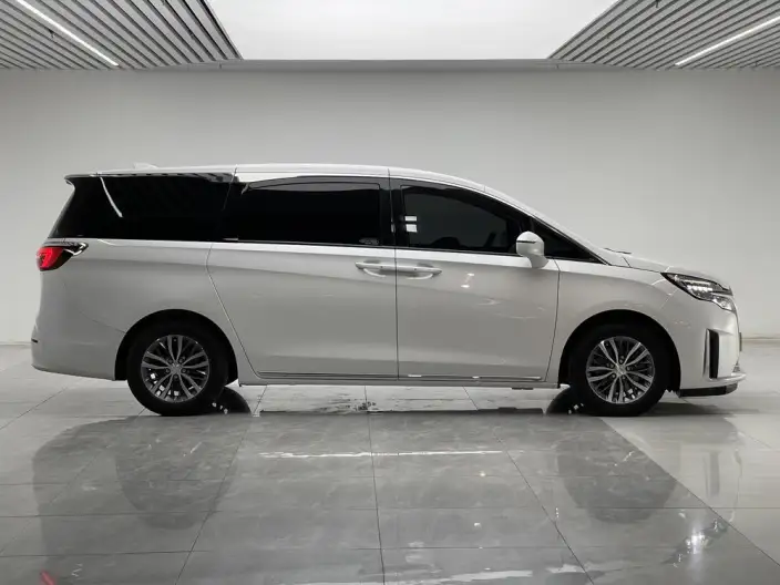 Buick GL8 2023 Model ES Luzun 2.0T Exclusive Model – фото 8