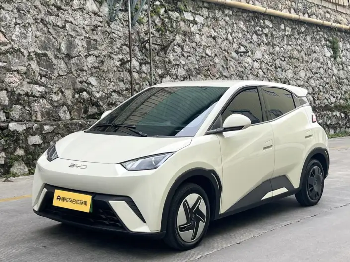 BYD Seagull 2024 Model Honor Edition 305KM Vitality Edition – фото 1