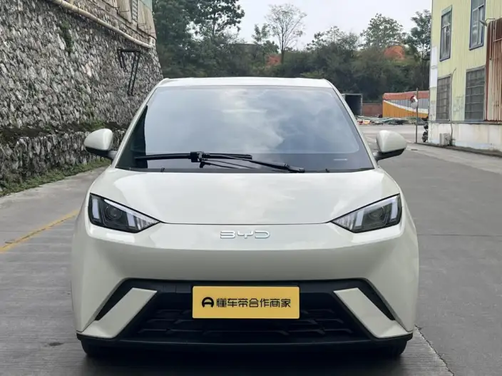 BYD Seagull 2024 Model Honor Edition 305KM Vitality Edition – фото 2