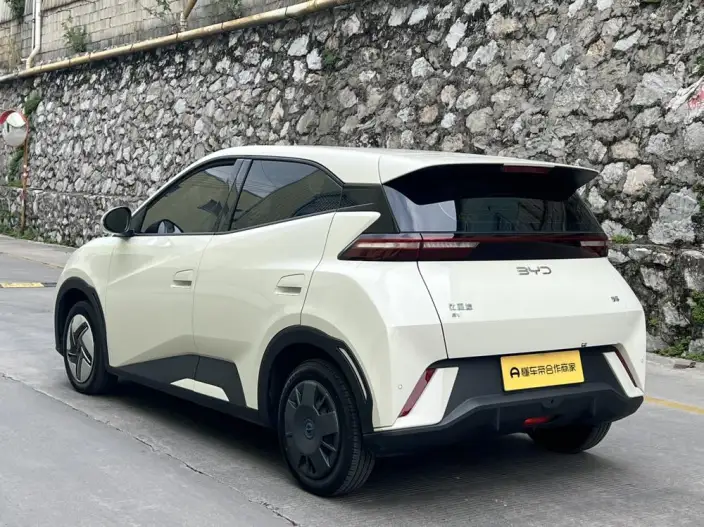 BYD Seagull 2024 Model Honor Edition 305KM Vitality Edition – фото 4