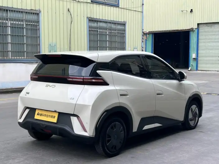 BYD Seagull 2024 Model Honor Edition 305KM Vitality Edition – фото 6