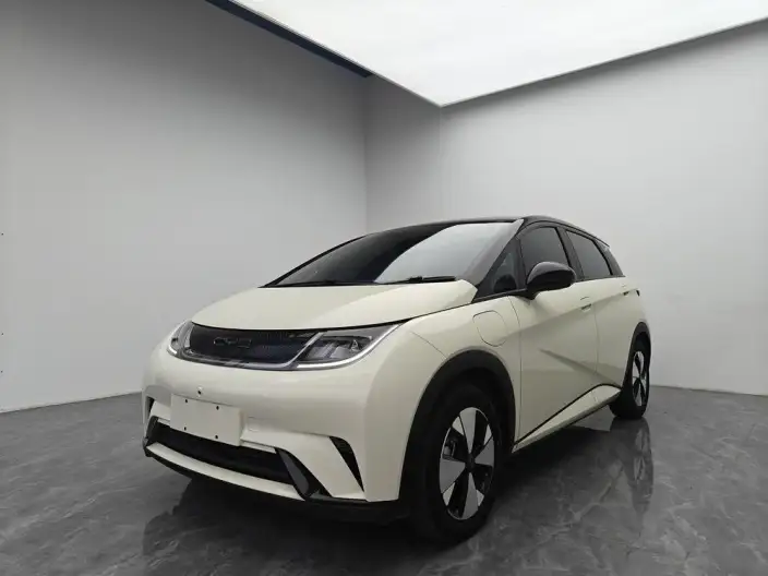 BYD Dolphin 2024 Model Honor Edition 420km Free Edition – фото 1