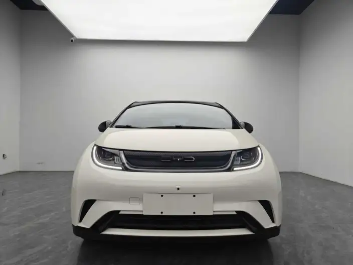 BYD Dolphin 2024 Model Honor Edition 420km Free Edition – фото 2