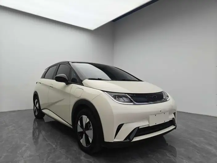 BYD Dolphin 2024 Model Honor Edition 420km Free Edition – фото 3