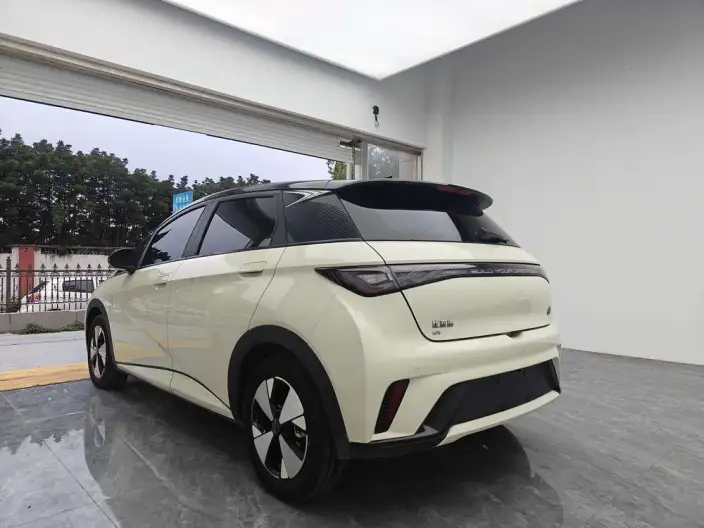 BYD Dolphin 2024 Model Honor Edition 420km Free Edition – фото 4
