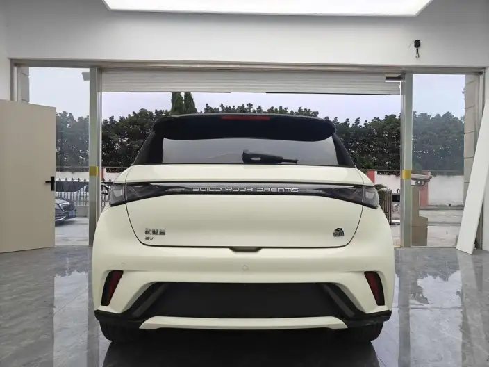 BYD Dolphin 2024 Model Honor Edition 420km Free Edition – фото 5