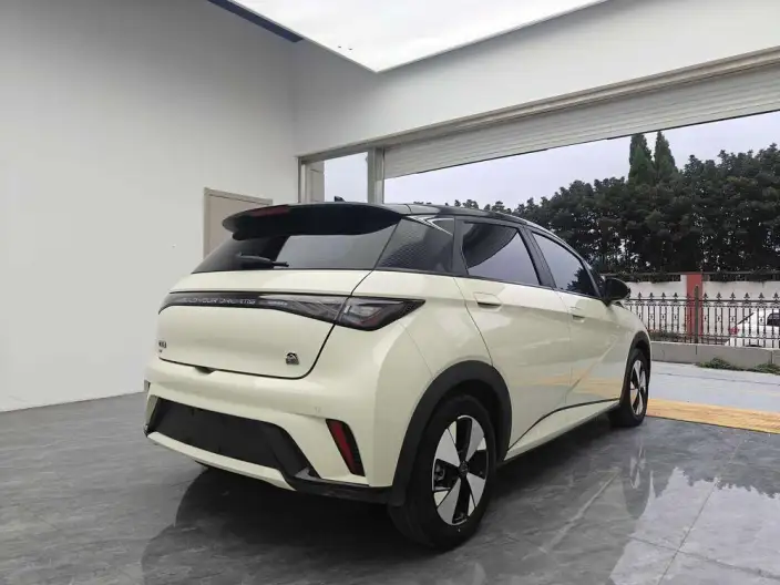 BYD Dolphin 2024 Model Honor Edition 420km Free Edition – фото 6