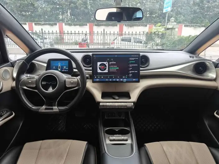 BYD Dolphin 2024 Model Honor Edition 420km Free Edition – фото 8