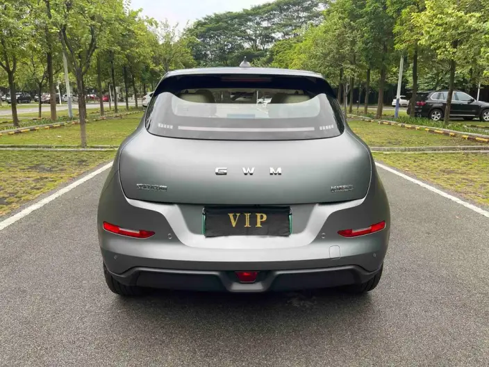 ORA Good Cat 2025 Model 430km Zunrong Model – фото 6