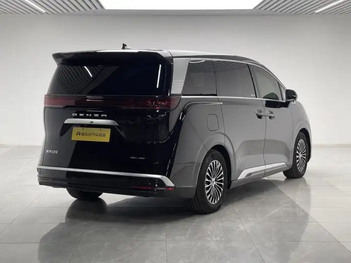DENZA D9 DM 2024 Model 980 4WD Noble Model – фото 7