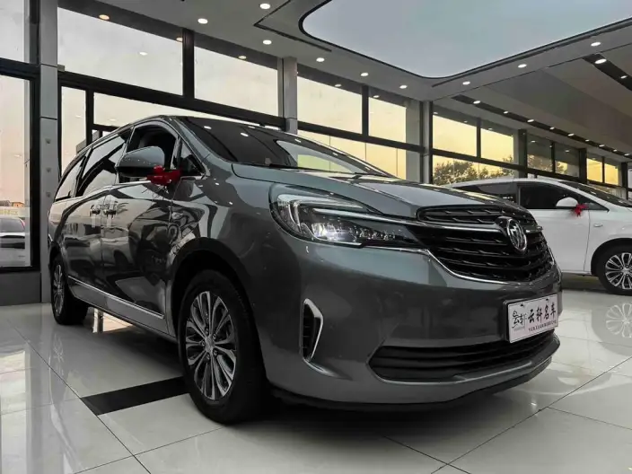 Buick GL8 2022 Model Business class 652T Luxury Model – фото 3