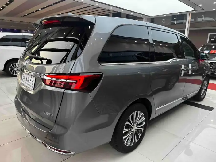 Buick GL8 2022 Model Business class 652T Luxury Model – фото 5