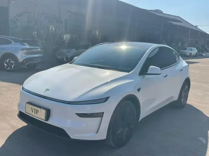 Model Y 2025 Model Rear-wheel drive version – фото 1