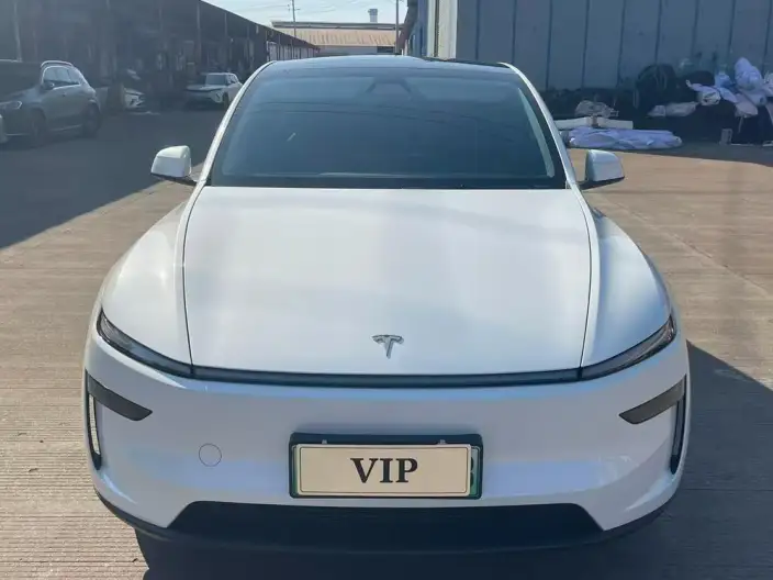 Model Y 2025 Model Rear-wheel drive version – фото 2