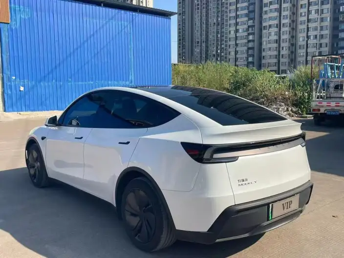 Model Y 2025 Model Rear-wheel drive version – фото 4