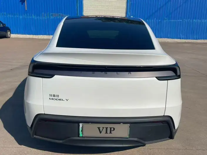 Model Y 2025 Model Rear-wheel drive version – фото 5