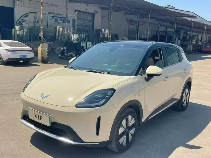 Wuling BingoS 2025 Model 325km Exclusive Model – фото 1