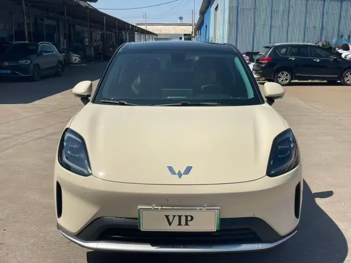 Wuling BingoS 2025 Model 325km Exclusive Model – фото 2