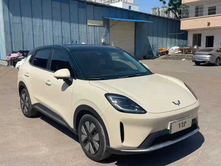 Wuling BingoS 2025 Model 325km Exclusive Model – фото 3