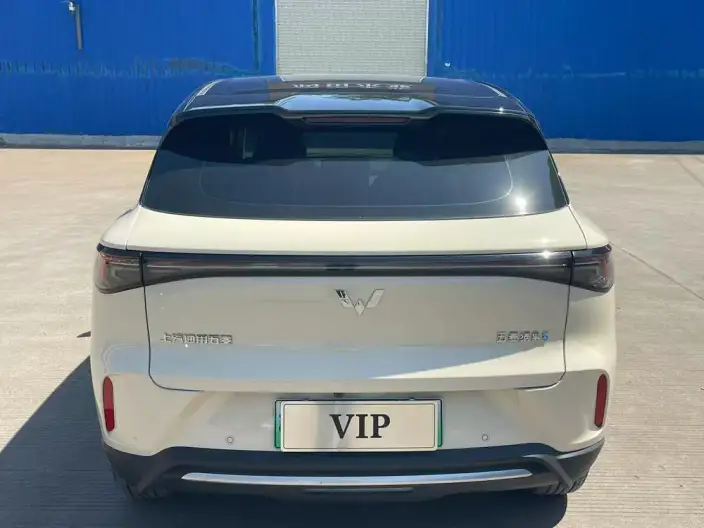 Wuling BingoS 2025 Model 325km Exclusive Model – фото 5