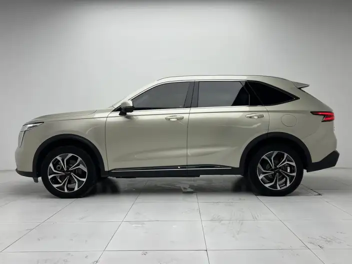 Haval Xiaolong MAX 2023 Model 1.5L Hi4 105 4WD Pilot Edition – фото 4