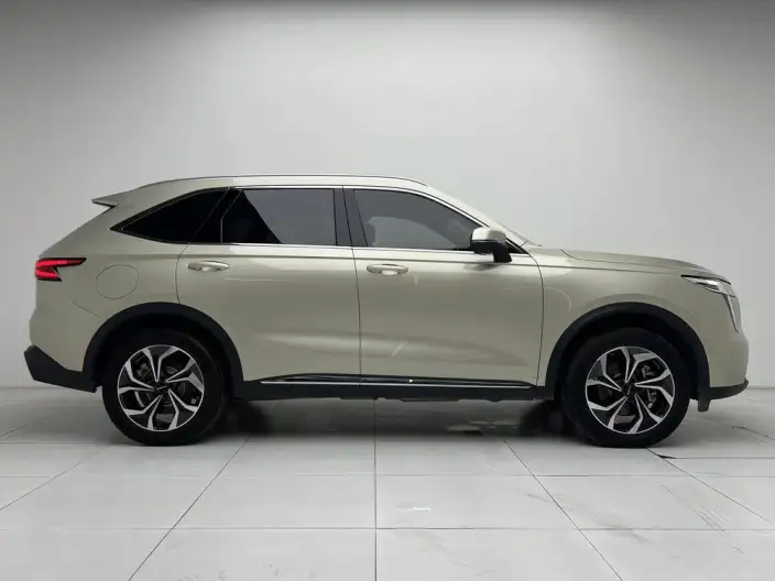 Haval Xiaolong MAX 2023 Model 1.5L Hi4 105 4WD Pilot Edition – фото 8