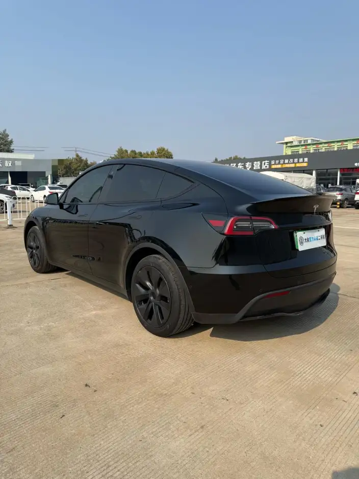 Model Y 2023 Model Rear-wheel drive version – фото 4