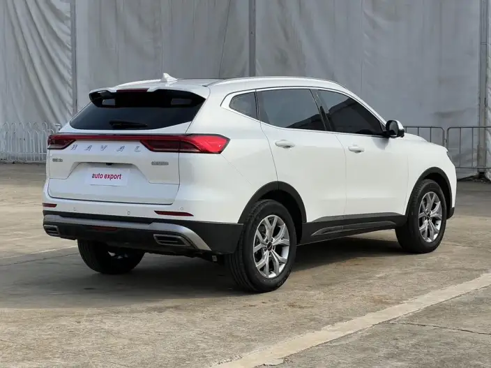 Haval H6 2021 Model Guo Trendy Edition 1.5T Automatic Champion Edition – фото 6