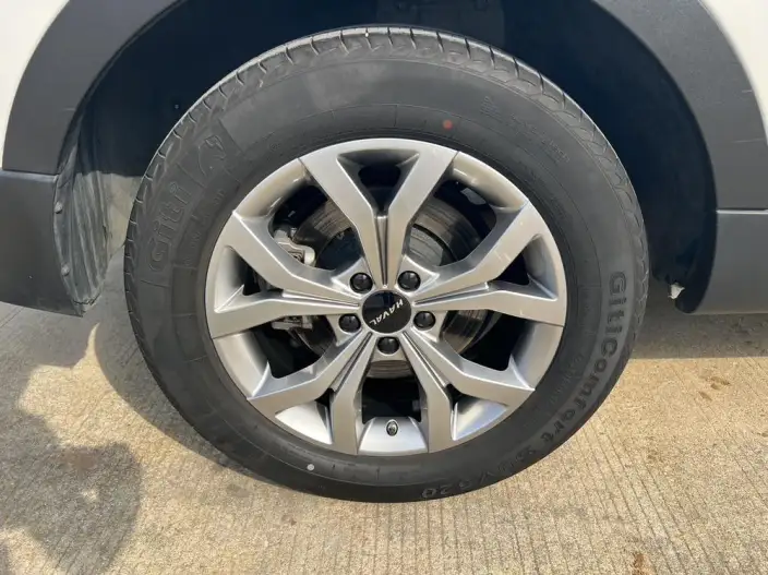 Haval H6 2021 Model Guo Trendy Edition 1.5T Automatic Champion Edition – фото 9