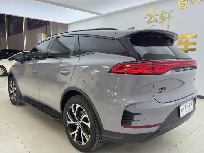 BYD Tang DM 2025 Model DM-i 115KM Zunrong Model – фото 5